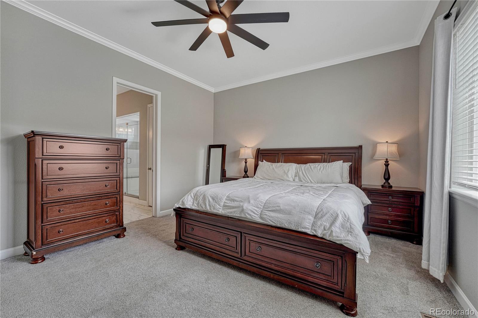 MLS Image #11 for 4213  hickory oaks street,castle rock, Colorado