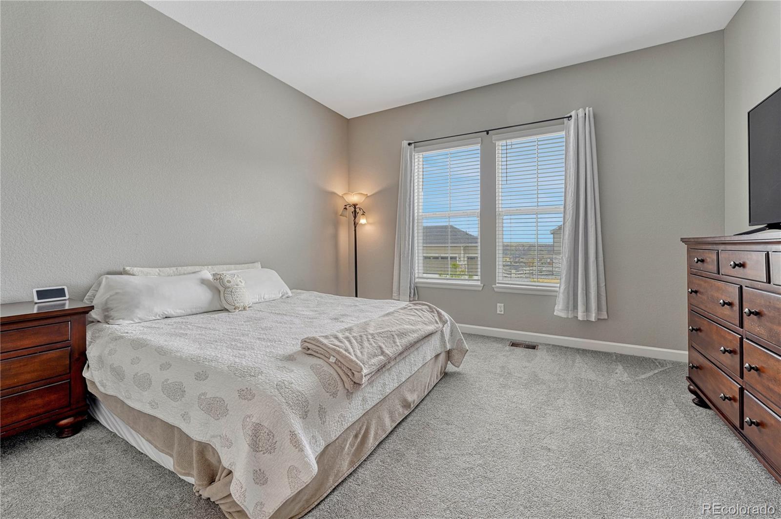 MLS Image #14 for 4213  hickory oaks street,castle rock, Colorado