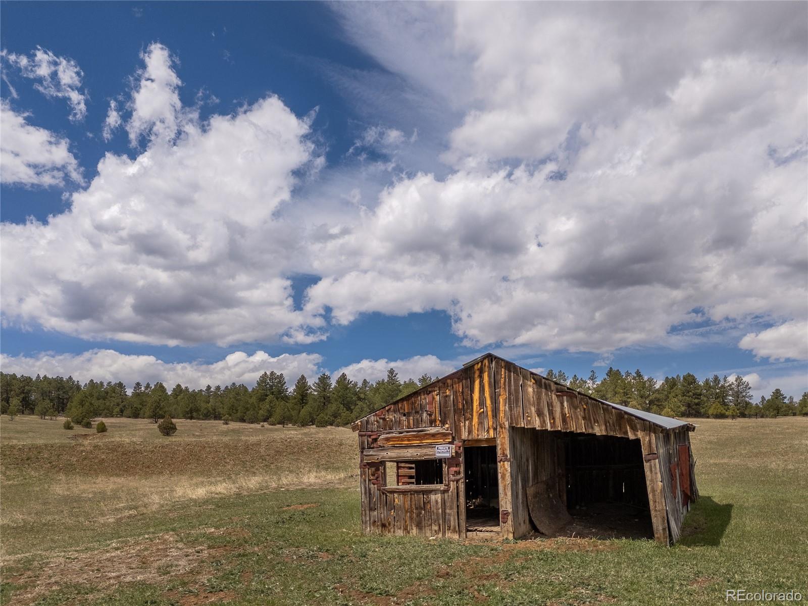 MLS Image #31 for 23055  county road 43.7 ,aguilar, Colorado