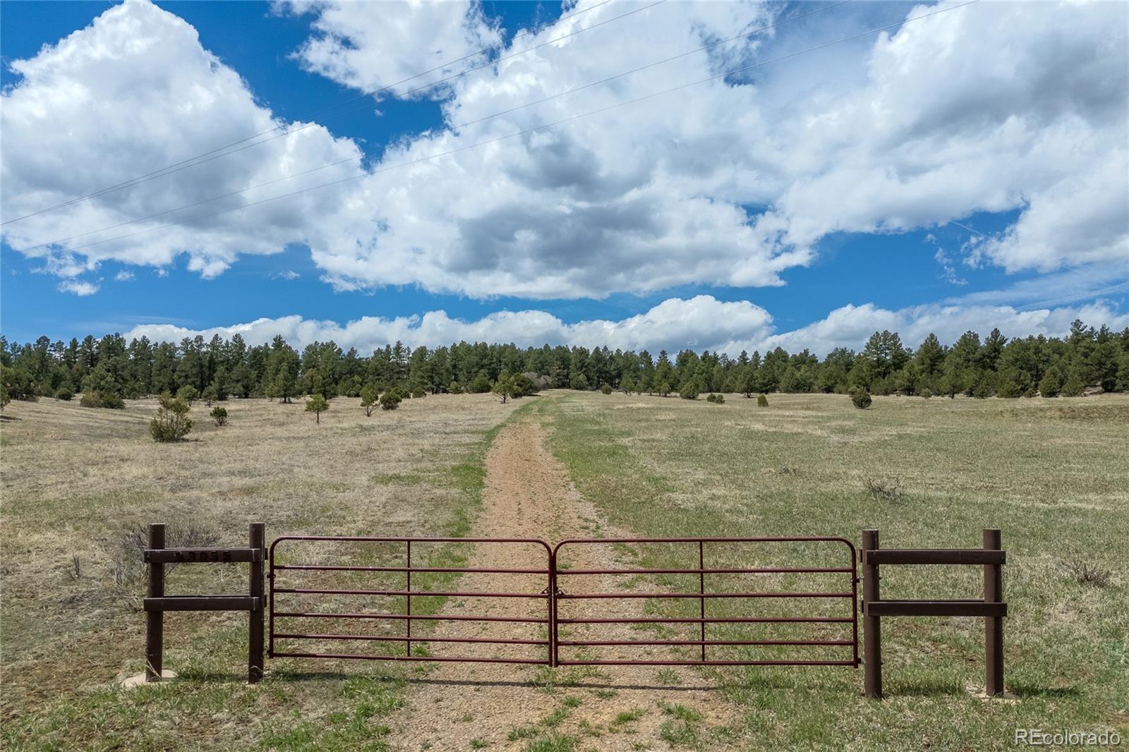 MLS Image #39 for 23055  county road 43.7 ,aguilar, Colorado