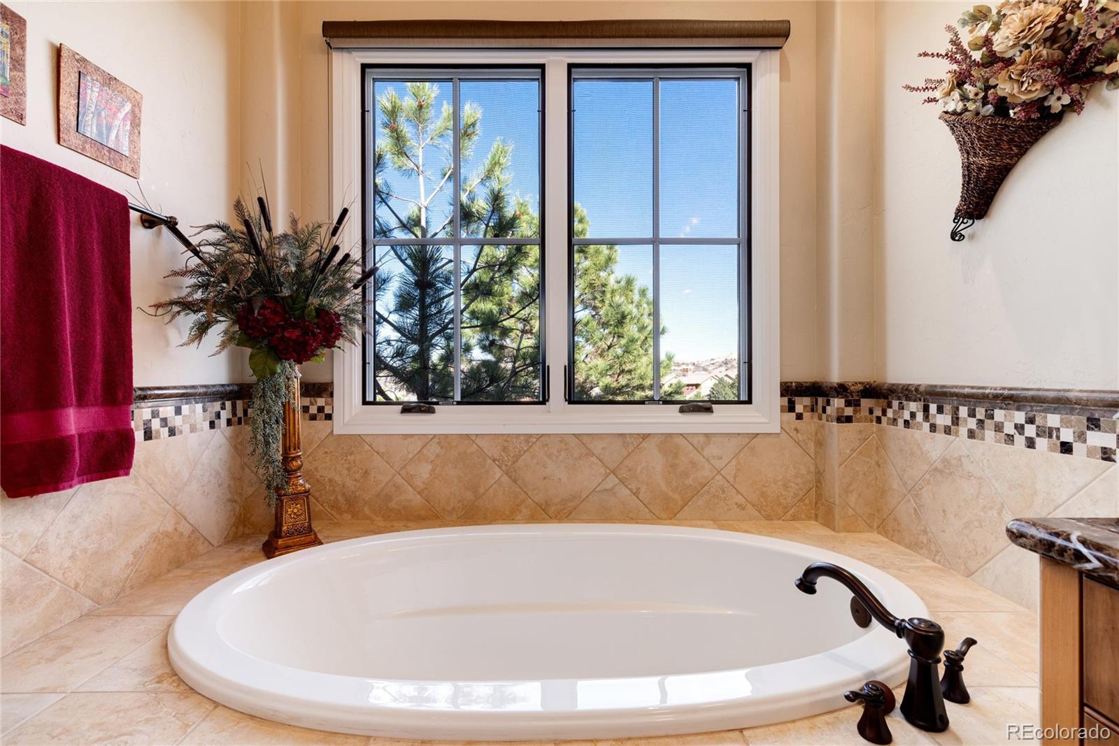 MLS Image #22 for 8002  galileo way,littleton, Colorado