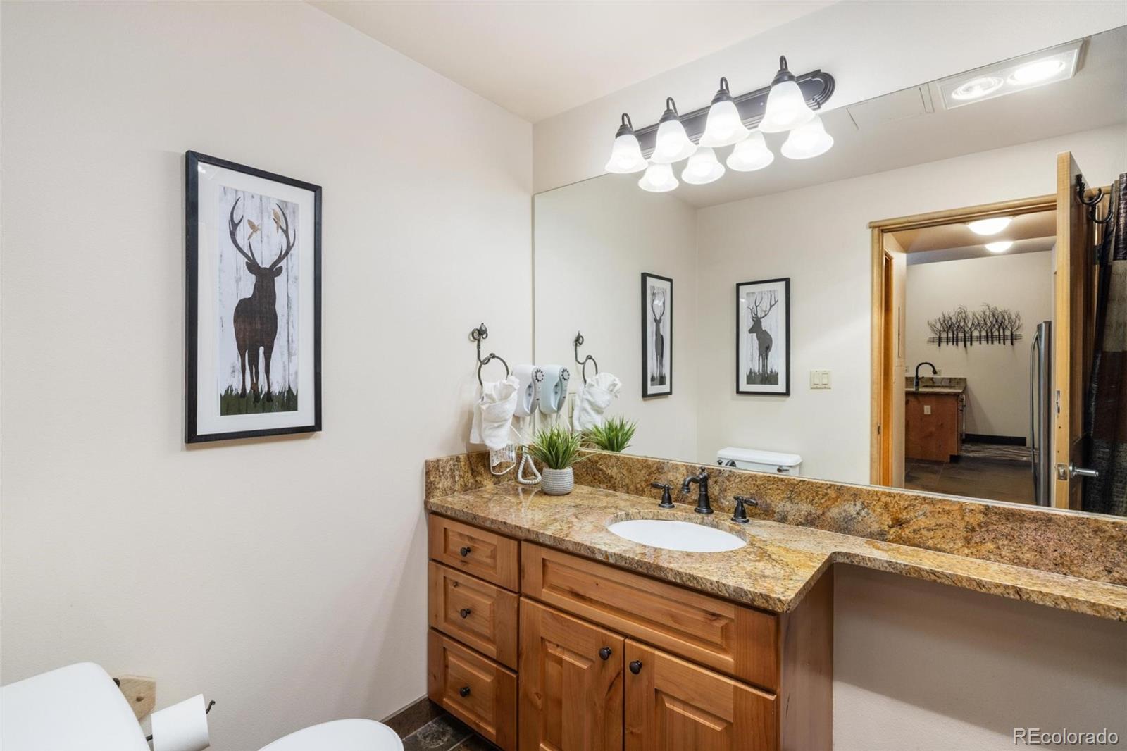 MLS Image #11 for 195  river run road,dillon, Colorado