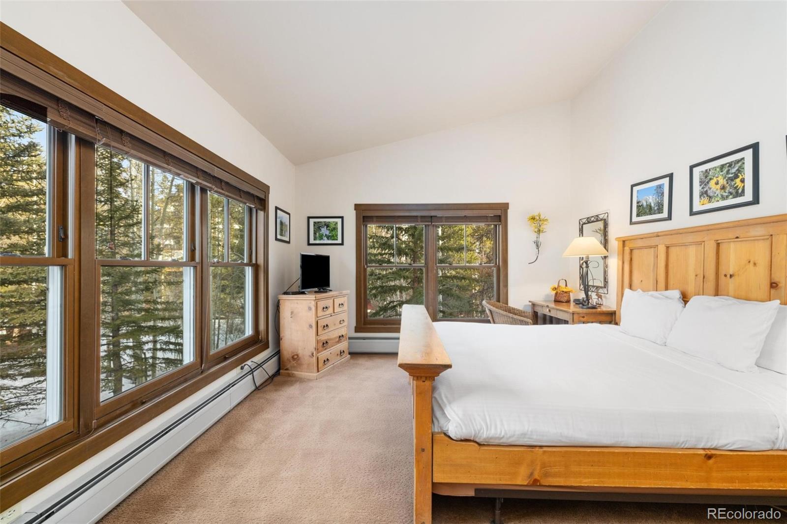 MLS Image #13 for 195  river run road,dillon, Colorado