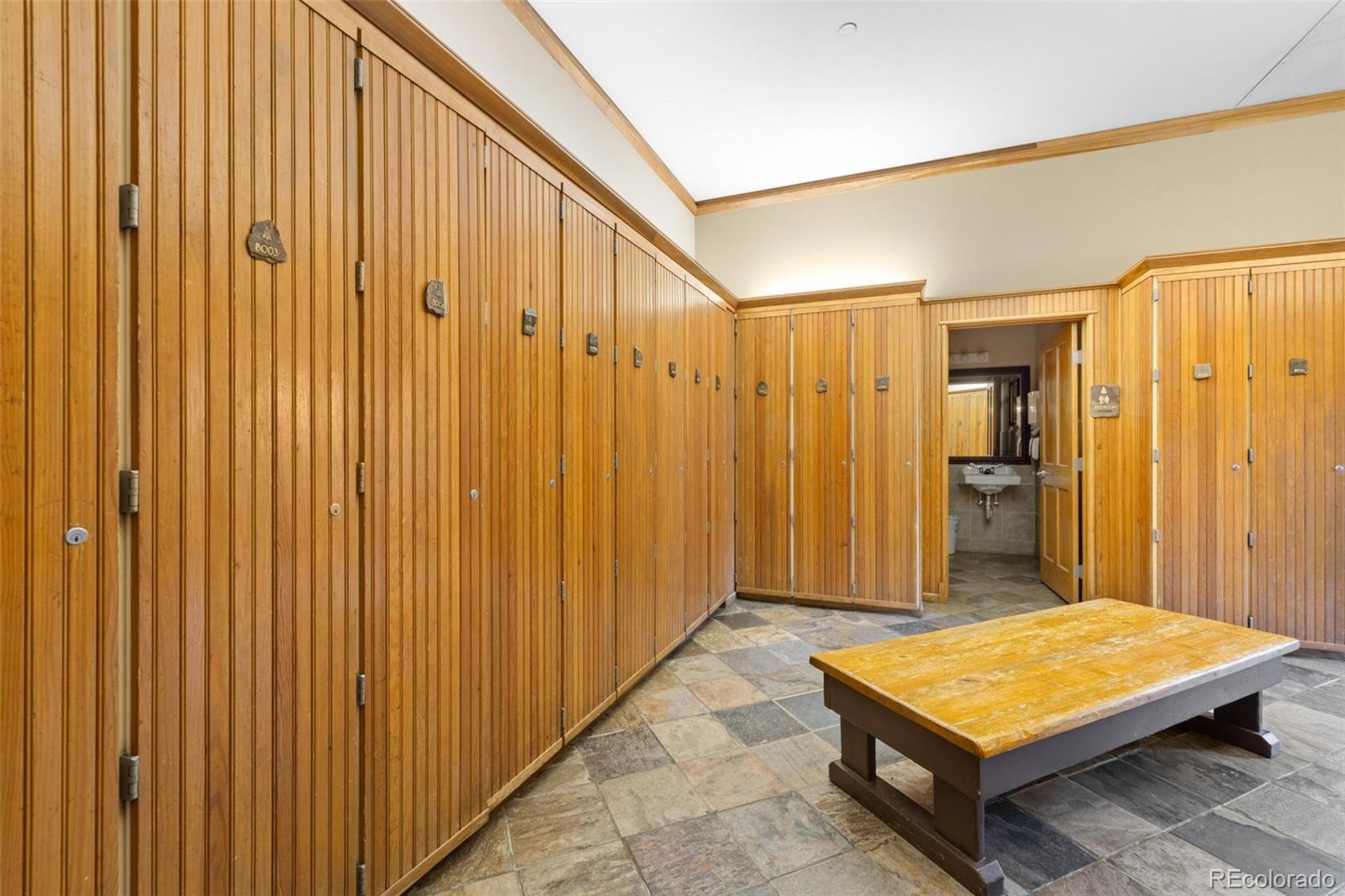 MLS Image #25 for 195  river run road,dillon, Colorado