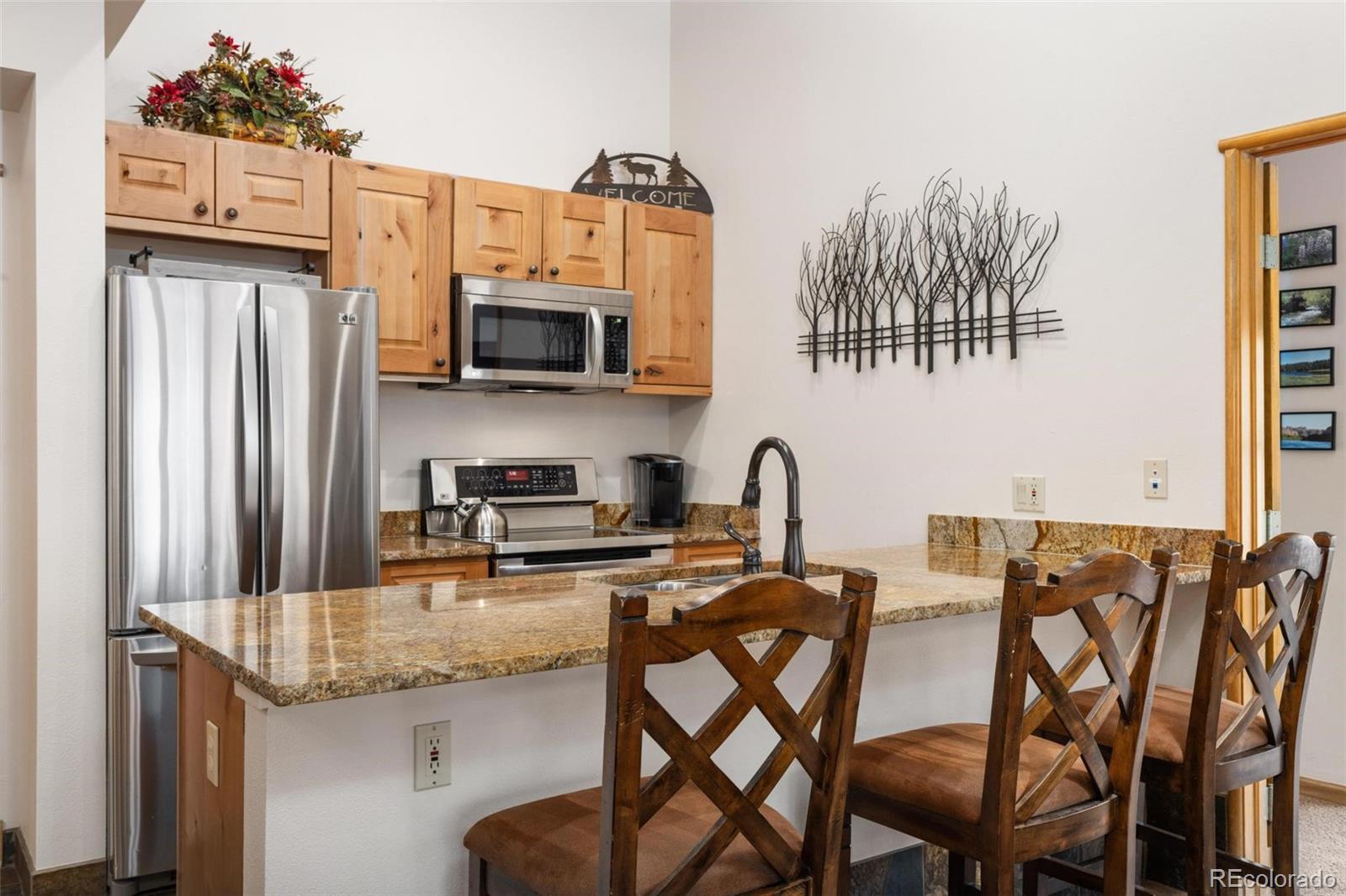 MLS Image #5 for 195  river run road,dillon, Colorado