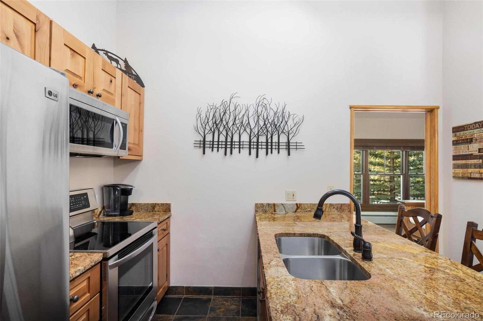 MLS Image #6 for 195  river run road,dillon, Colorado