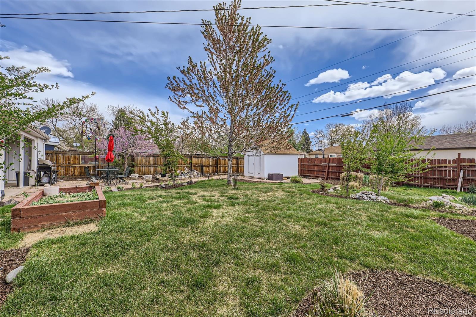 MLS Image #25 for 3600  olive street,denver, Colorado