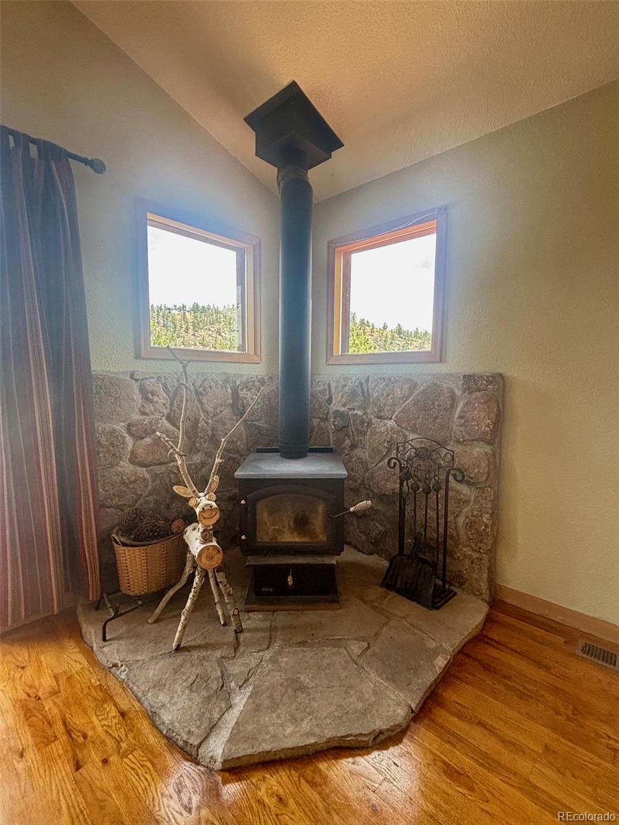 MLS Image #10 for 33508  persistence avenue,pine, Colorado