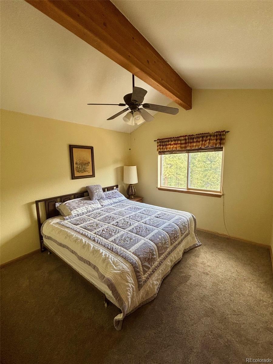 MLS Image #14 for 33508  persistence avenue,pine, Colorado