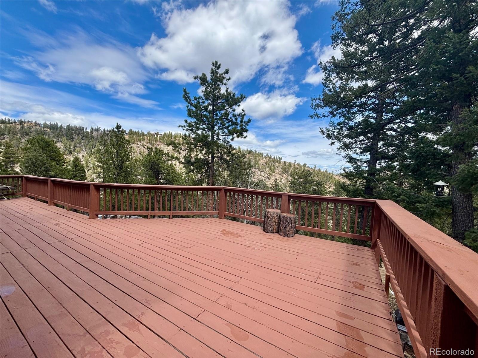 MLS Image #29 for 33508  persistence avenue,pine, Colorado