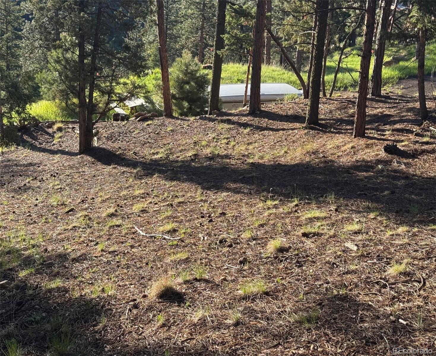 MLS Image #32 for 33508  persistence avenue,pine, Colorado
