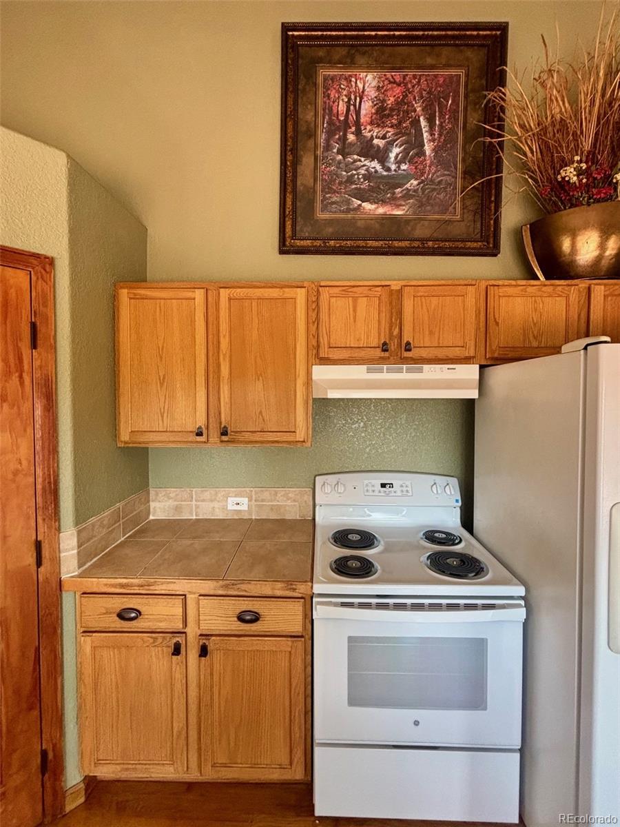 MLS Image #7 for 33508  persistence avenue,pine, Colorado