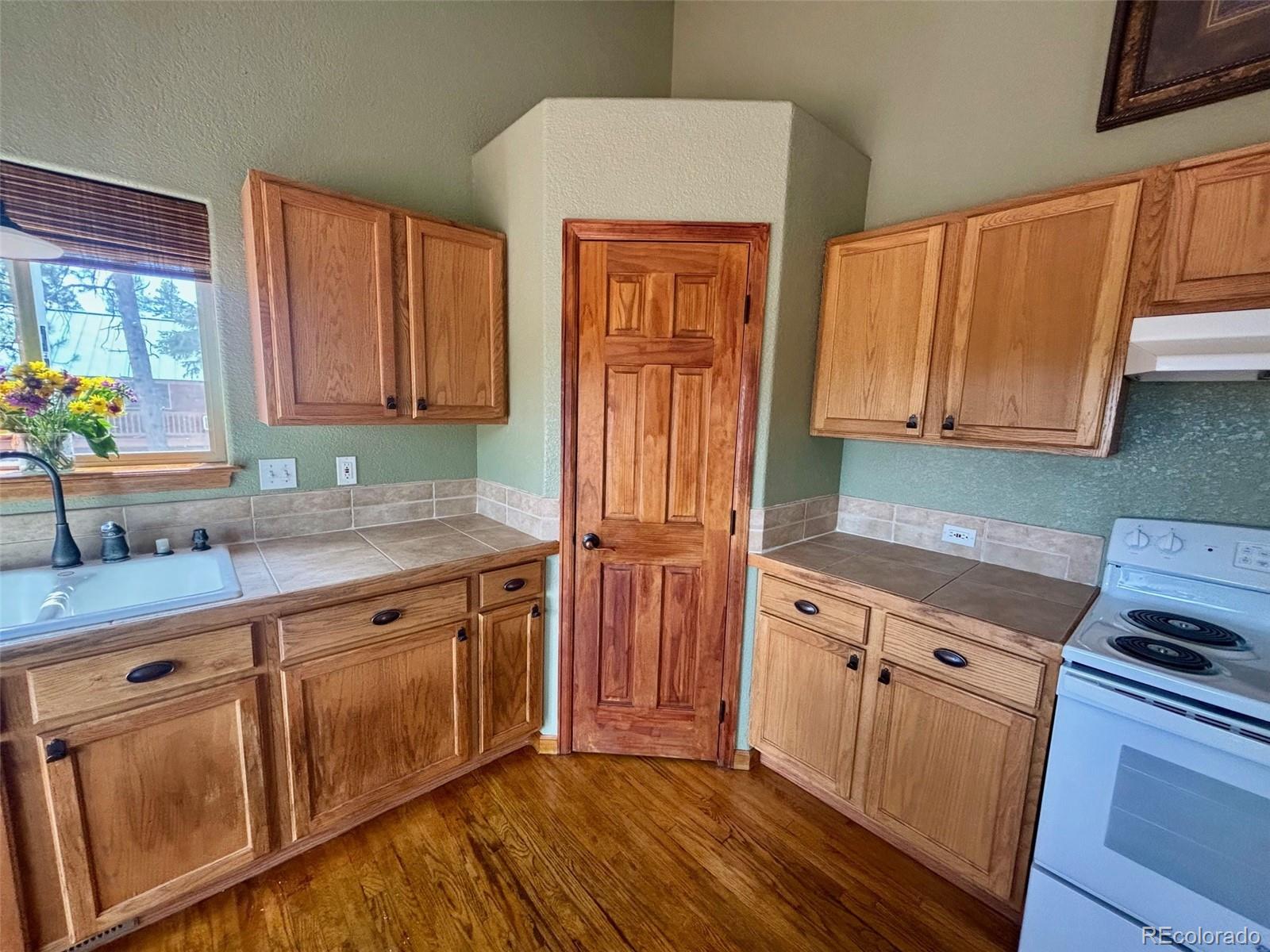 MLS Image #8 for 33508  persistence avenue,pine, Colorado