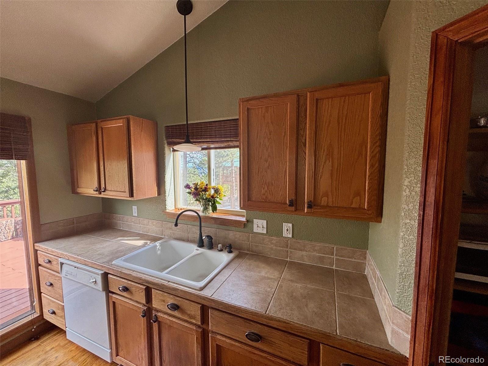 MLS Image #9 for 33508  persistence avenue,pine, Colorado