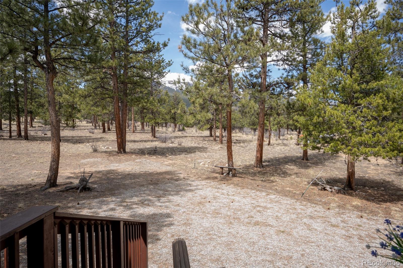 MLS Image #45 for 30665  gray jay draw ,buena vista, Colorado