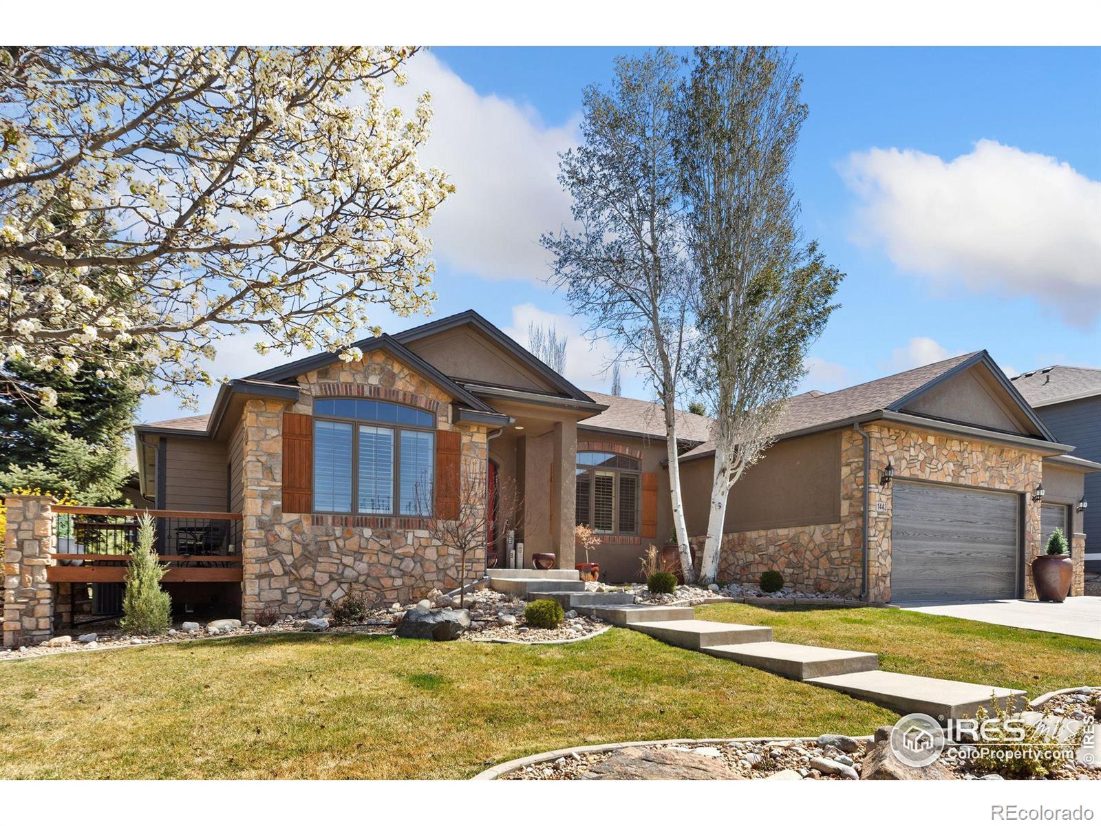 CMA Image for 1443  Folsum Drive,Windsor, Colorado