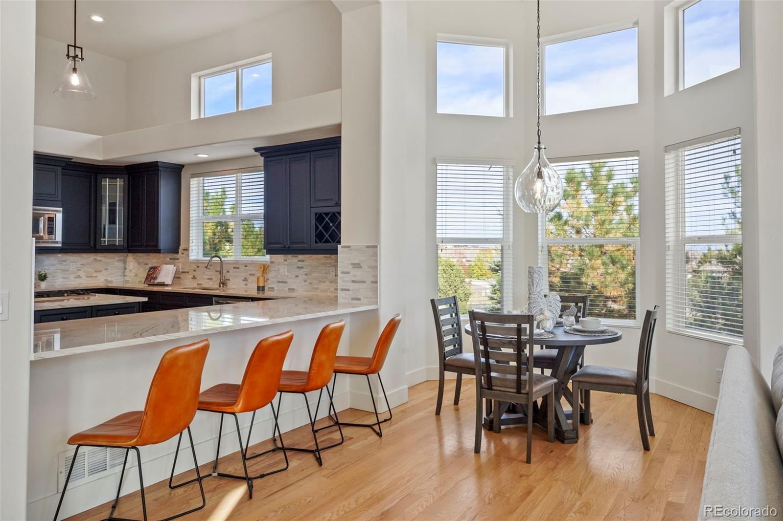 MLS Image #11 for 6425  tremolite drive,castle rock, Colorado