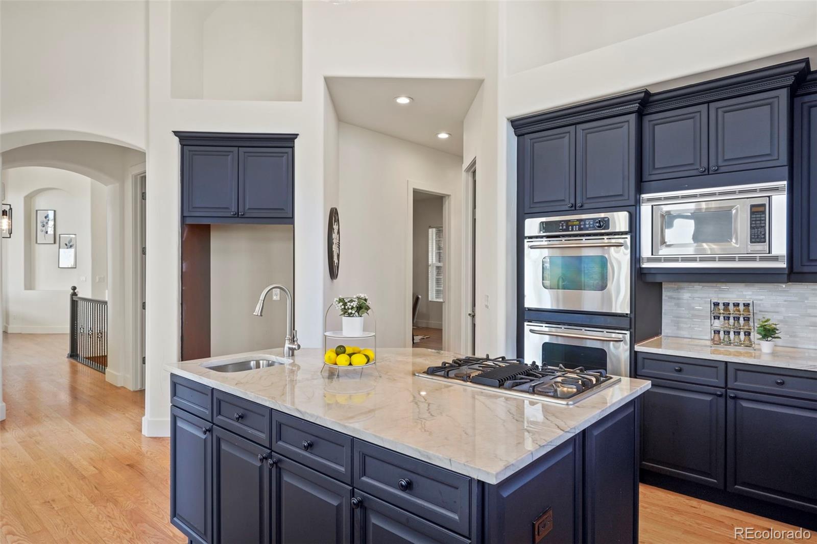 MLS Image #14 for 6425  tremolite drive,castle rock, Colorado