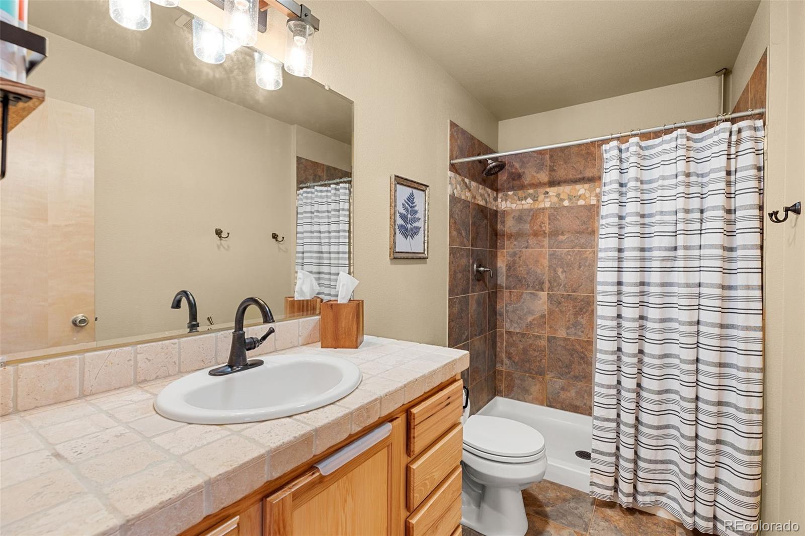 MLS Image #10 for 1333  high creek road,fairplay, Colorado