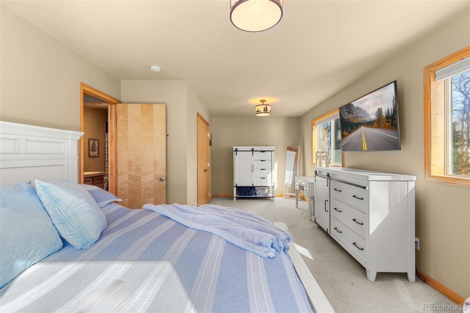 MLS Image #11 for 1333  high creek road,fairplay, Colorado