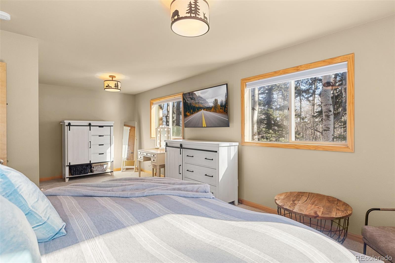 MLS Image #13 for 1333  high creek road,fairplay, Colorado