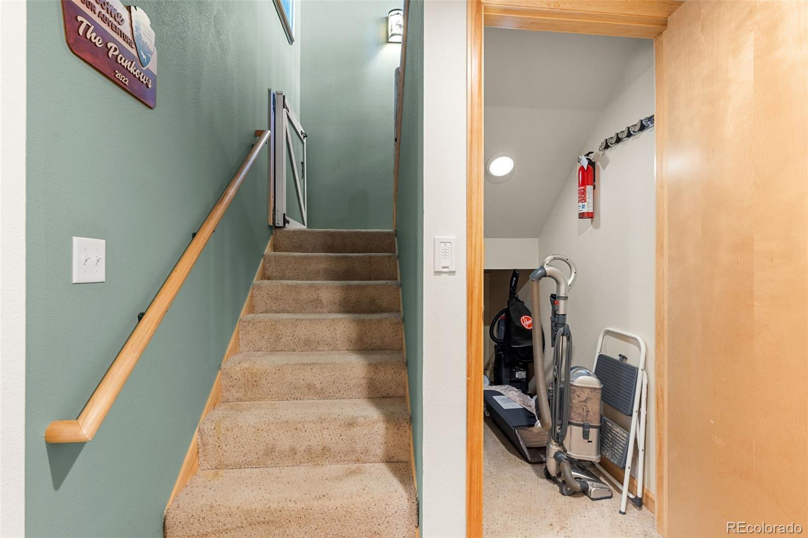 MLS Image #14 for 1333  high creek road,fairplay, Colorado