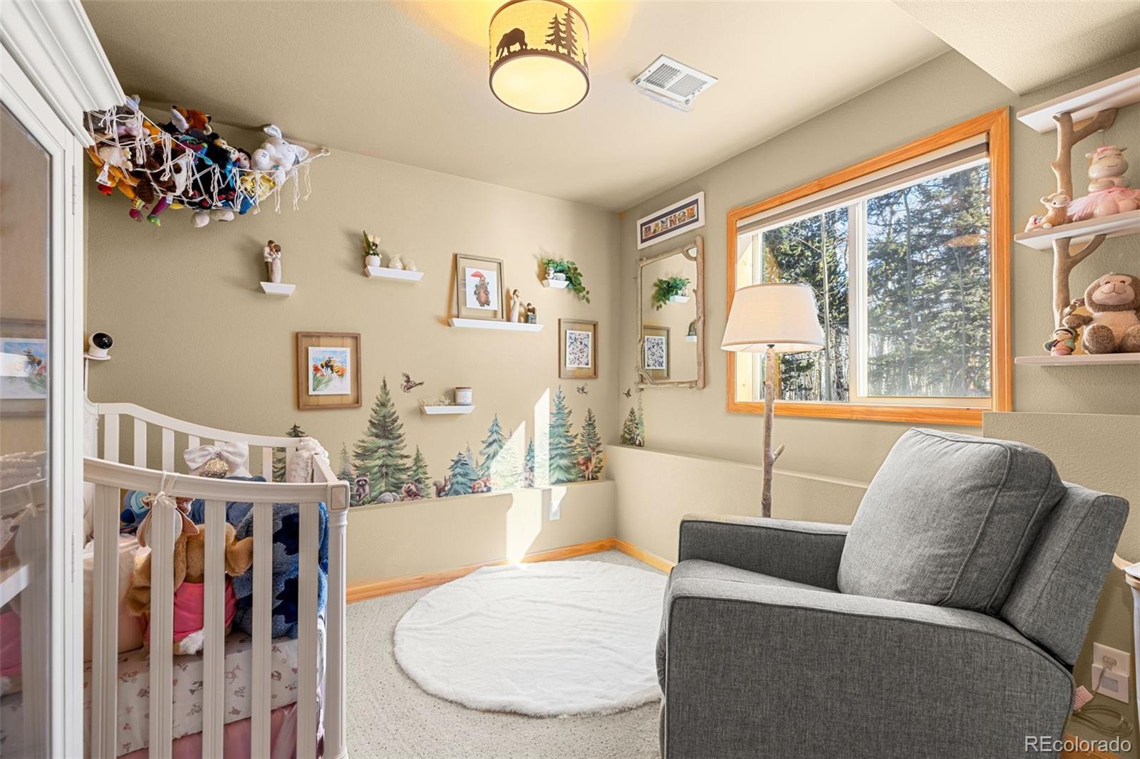 MLS Image #19 for 1333  high creek road,fairplay, Colorado