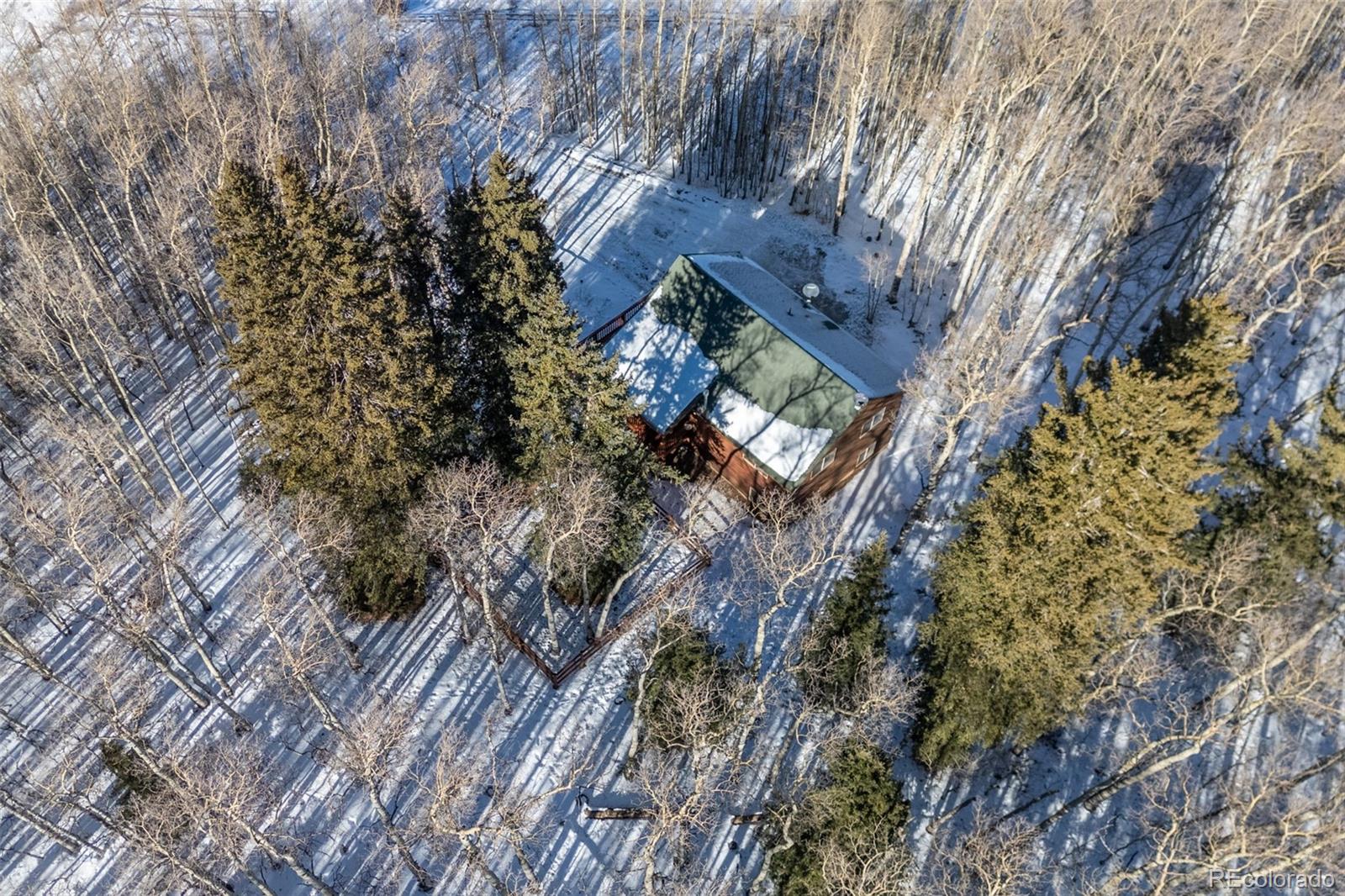 MLS Image #2 for 1333  high creek road,fairplay, Colorado
