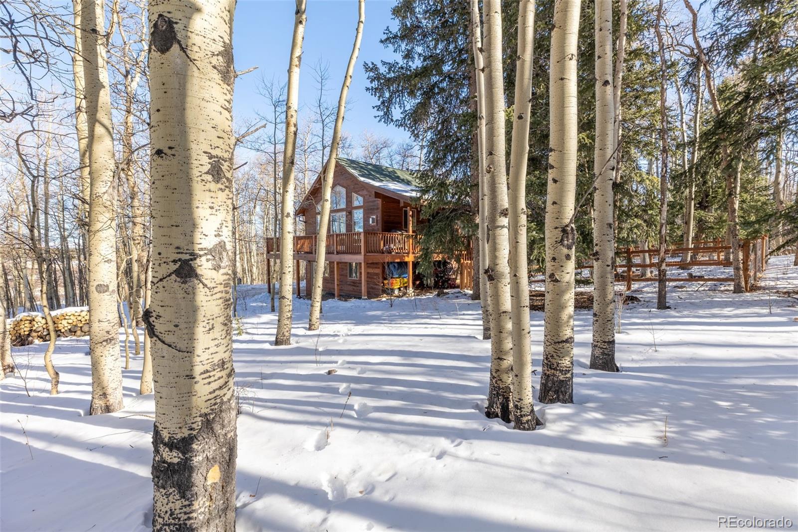 MLS Image #25 for 1333  high creek road,fairplay, Colorado