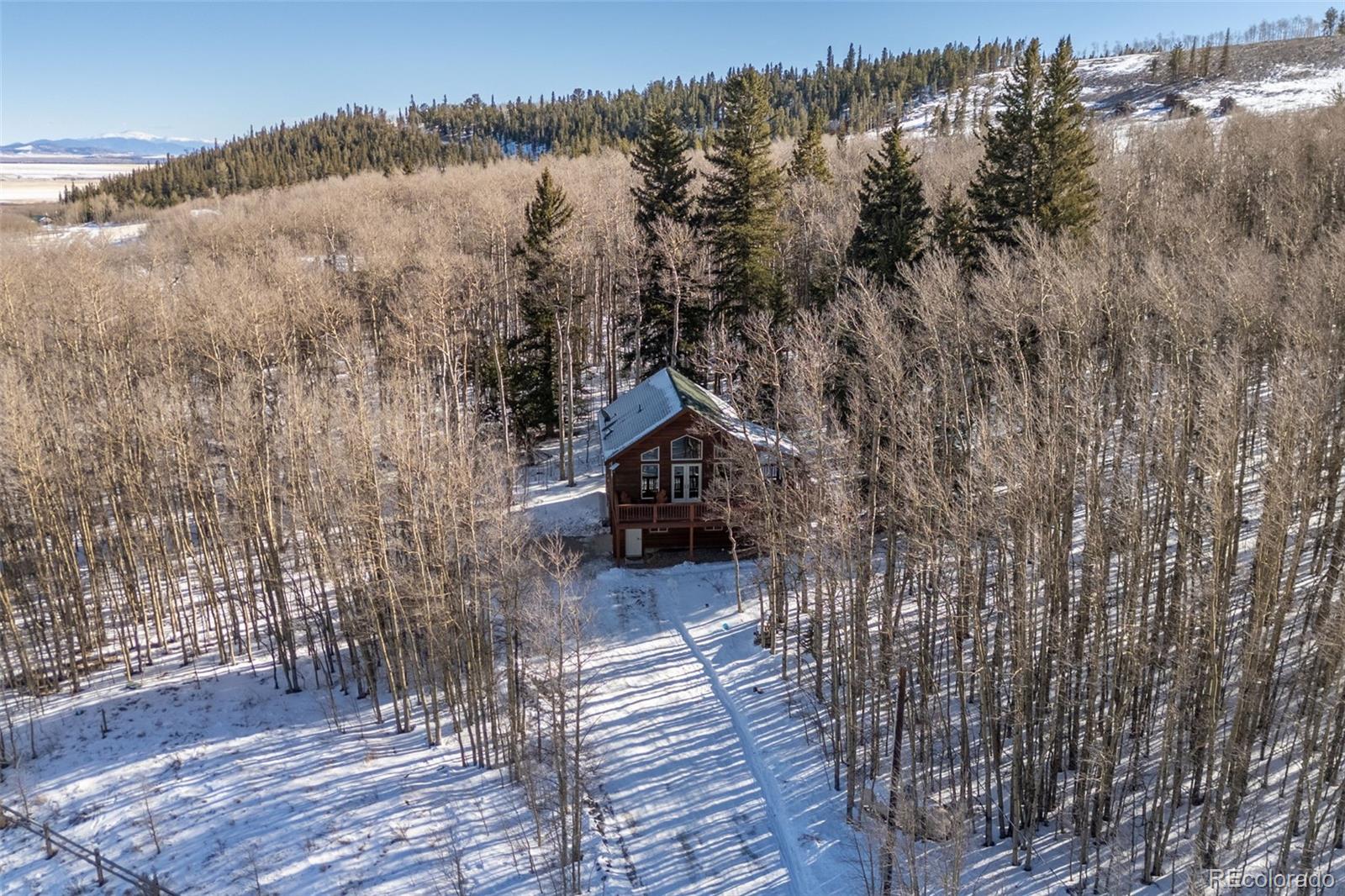MLS Image #3 for 1333  high creek road,fairplay, Colorado