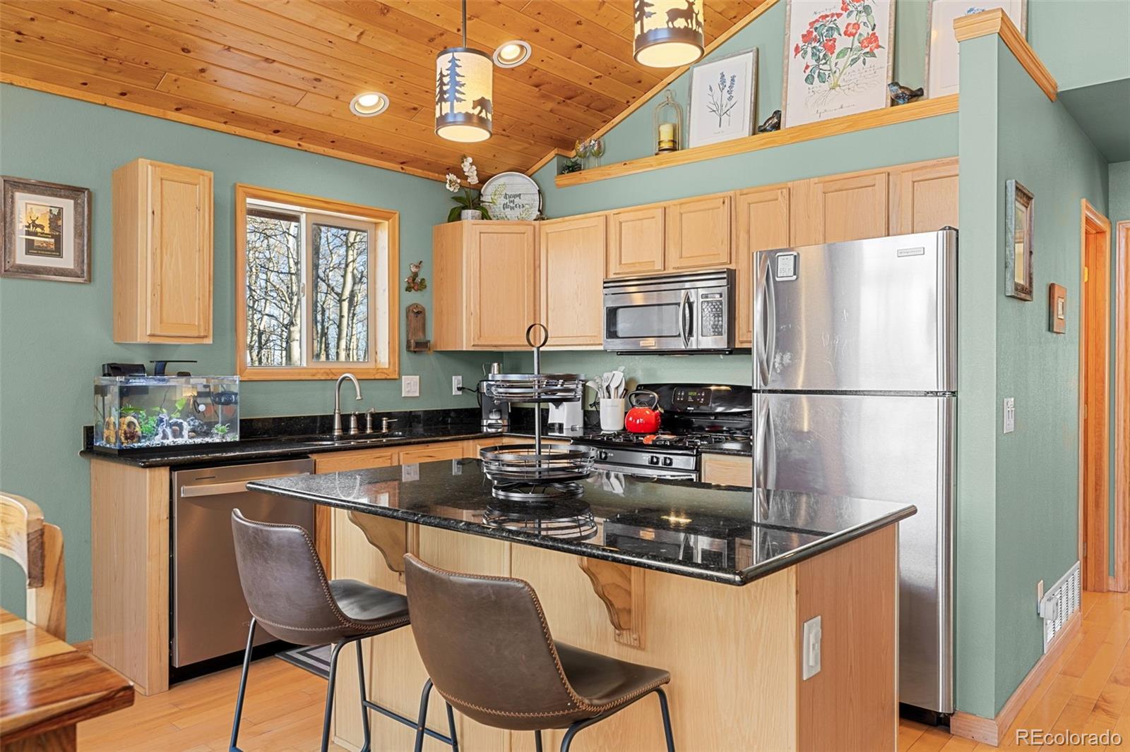 MLS Image #4 for 1333  high creek road,fairplay, Colorado