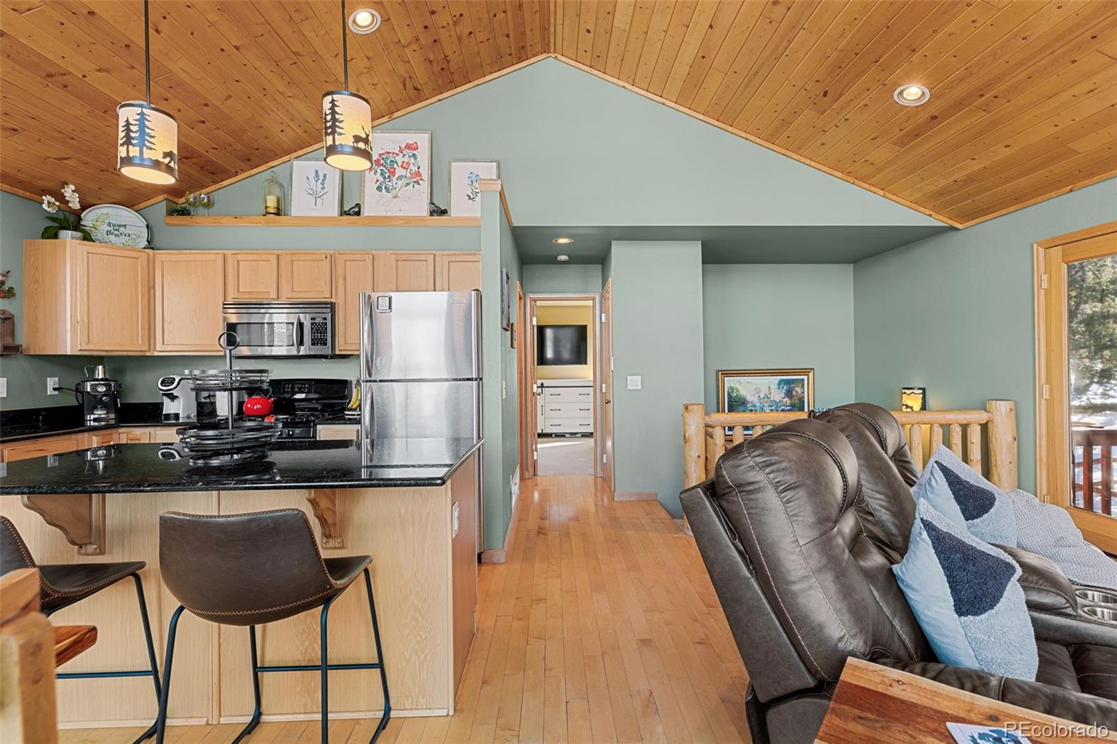 MLS Image #9 for 1333  high creek road,fairplay, Colorado