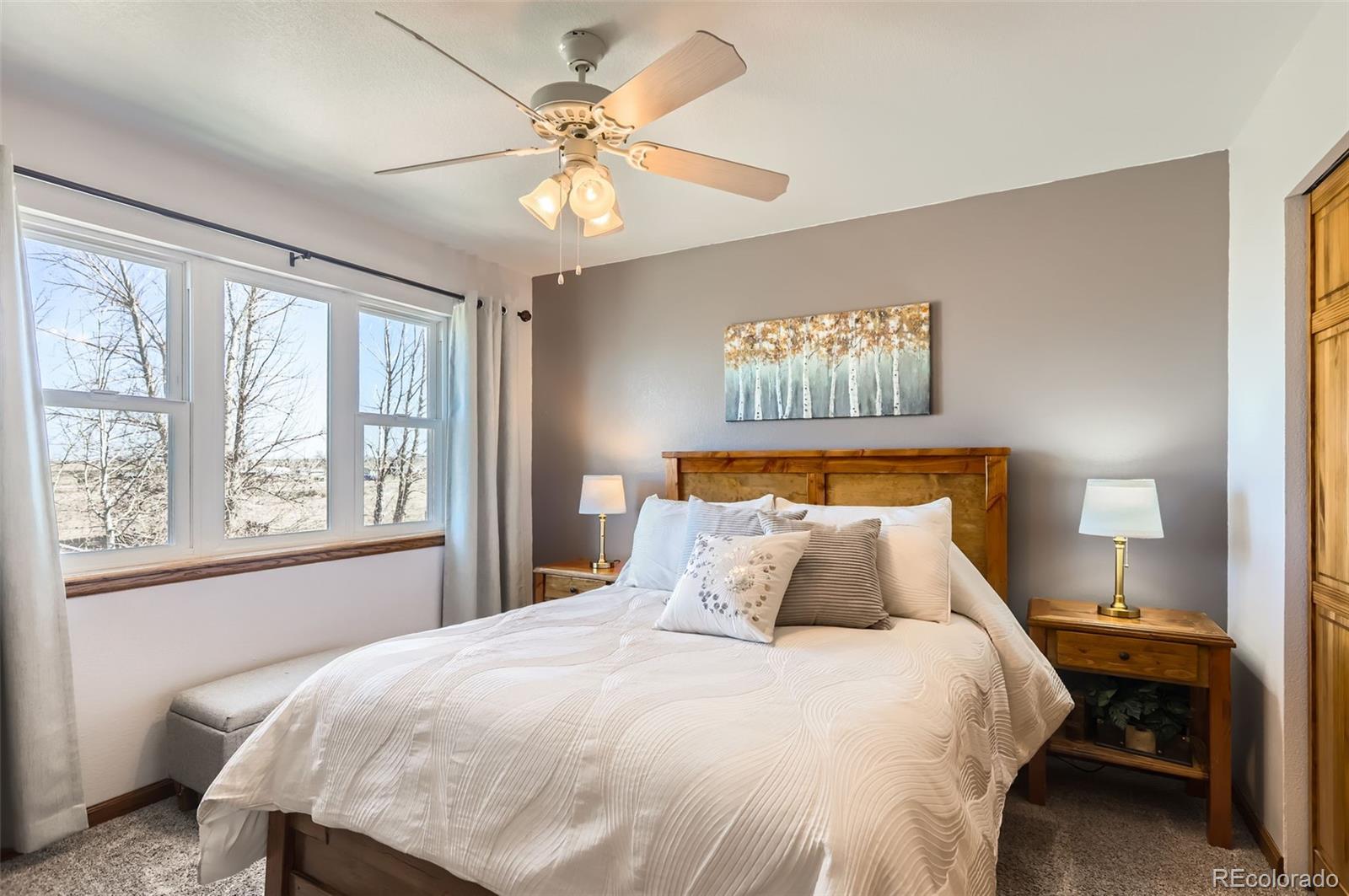 MLS Image #14 for 1141  beech street,fort lupton, Colorado