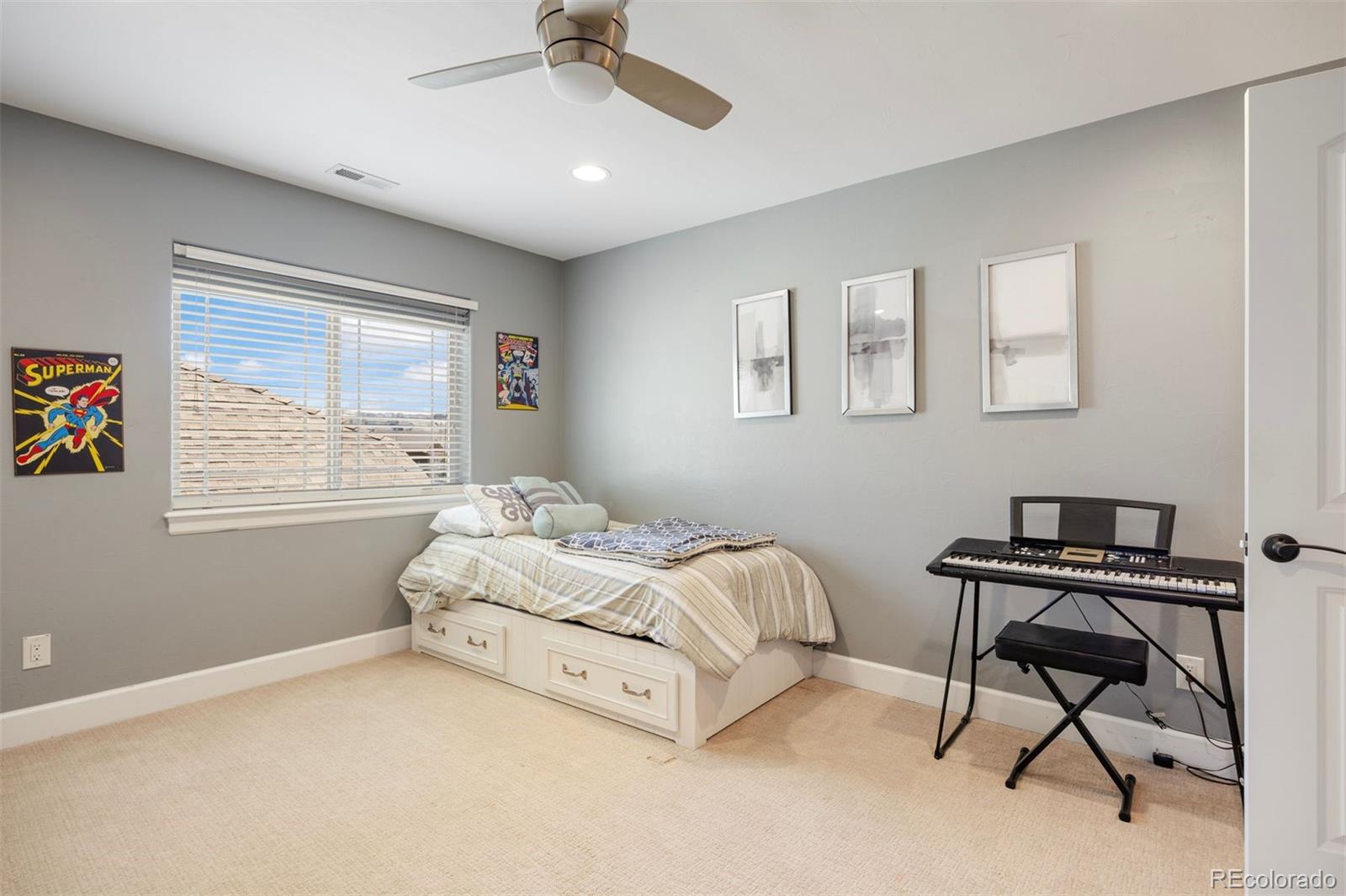 MLS Image #22 for 223  castlemaine court,castle rock, Colorado