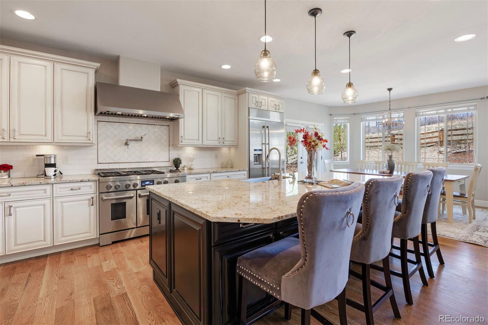 MLS Image #5 for 223  castlemaine court,castle rock, Colorado