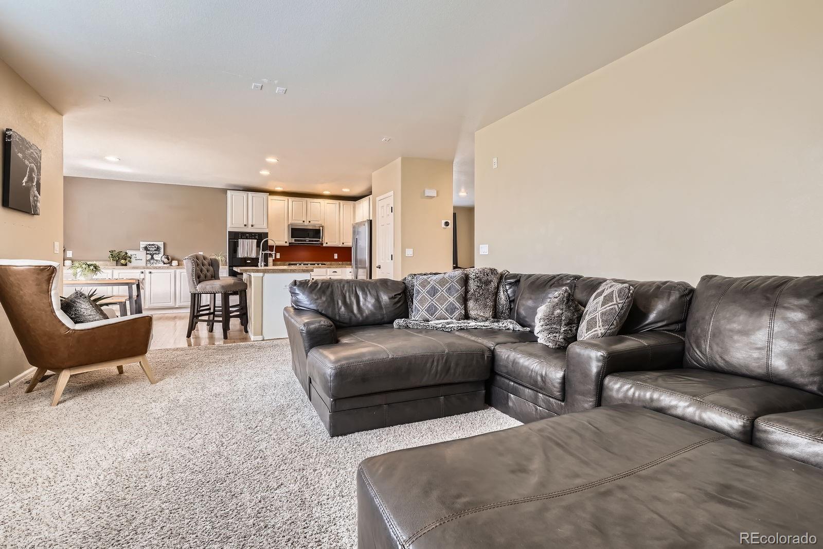 MLS Image #12 for 12185 s grass river trail,parker, Colorado