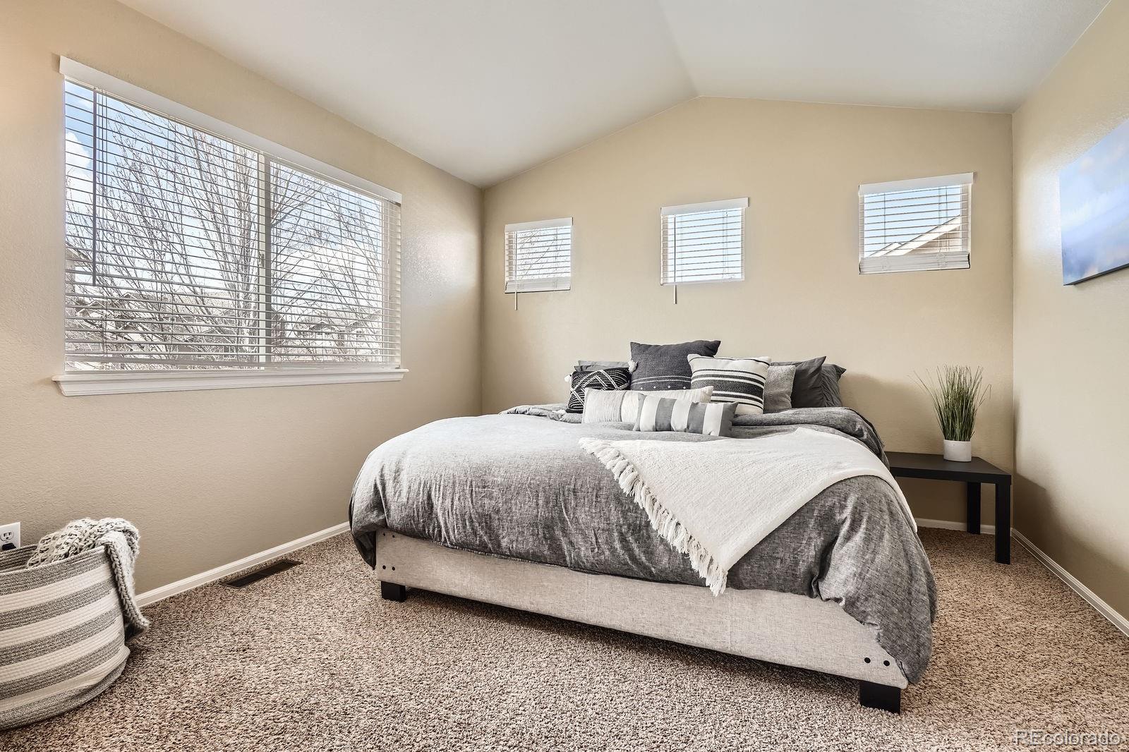 MLS Image #14 for 12185 s grass river trail,parker, Colorado
