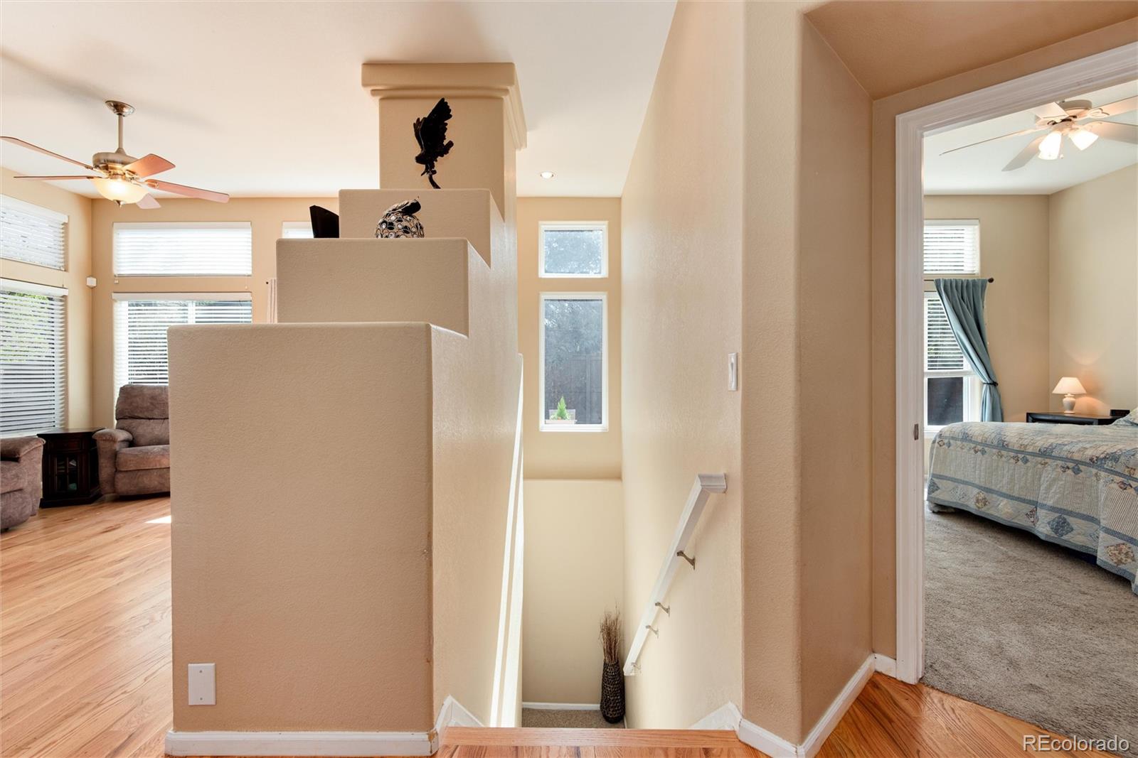 MLS Image #16 for 1374  spotted owl way,highlands ranch, Colorado