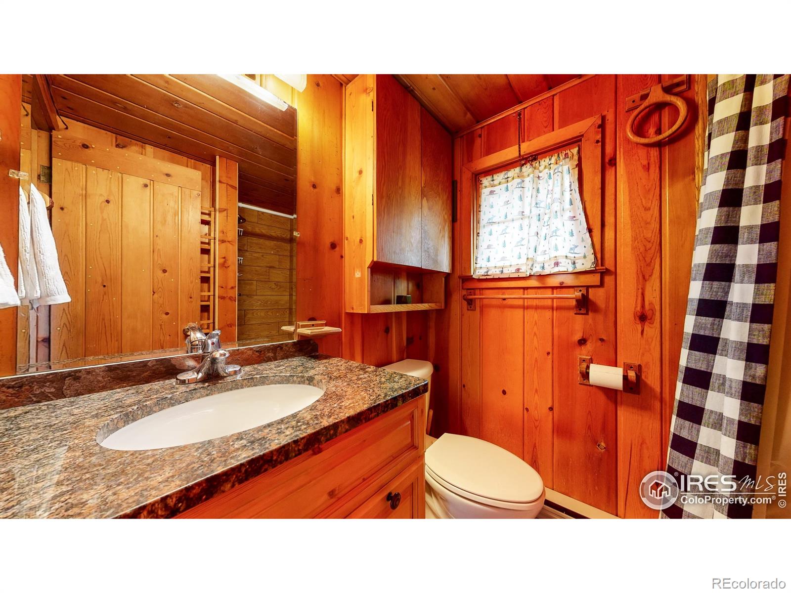 MLS Image #17 for 11563  peak to peak drive,allenspark, Colorado
