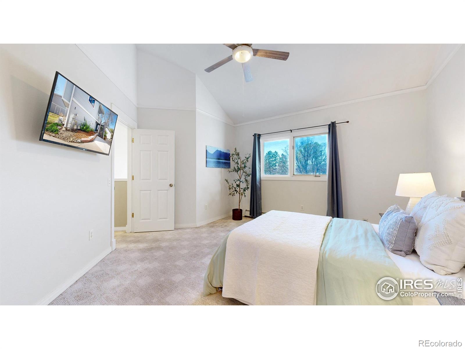 MLS Image #11 for 2025  mathews street,fort collins, Colorado