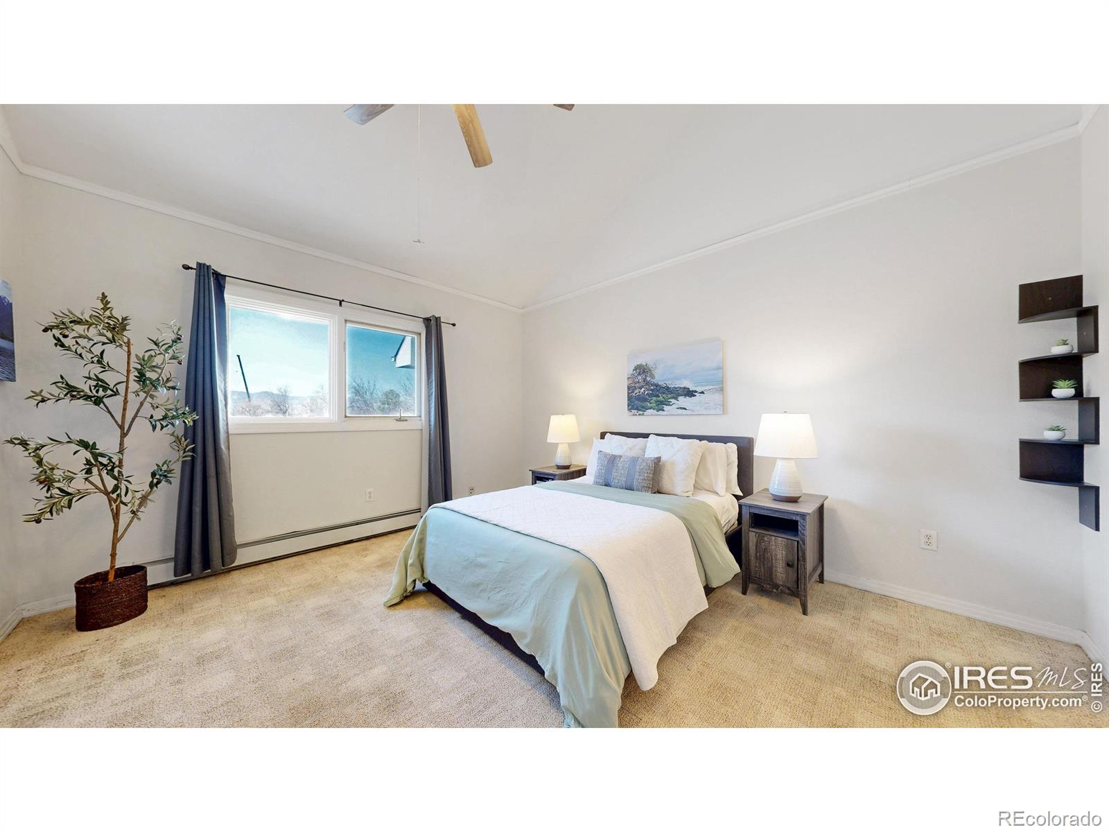 MLS Image #13 for 2025  mathews street,fort collins, Colorado