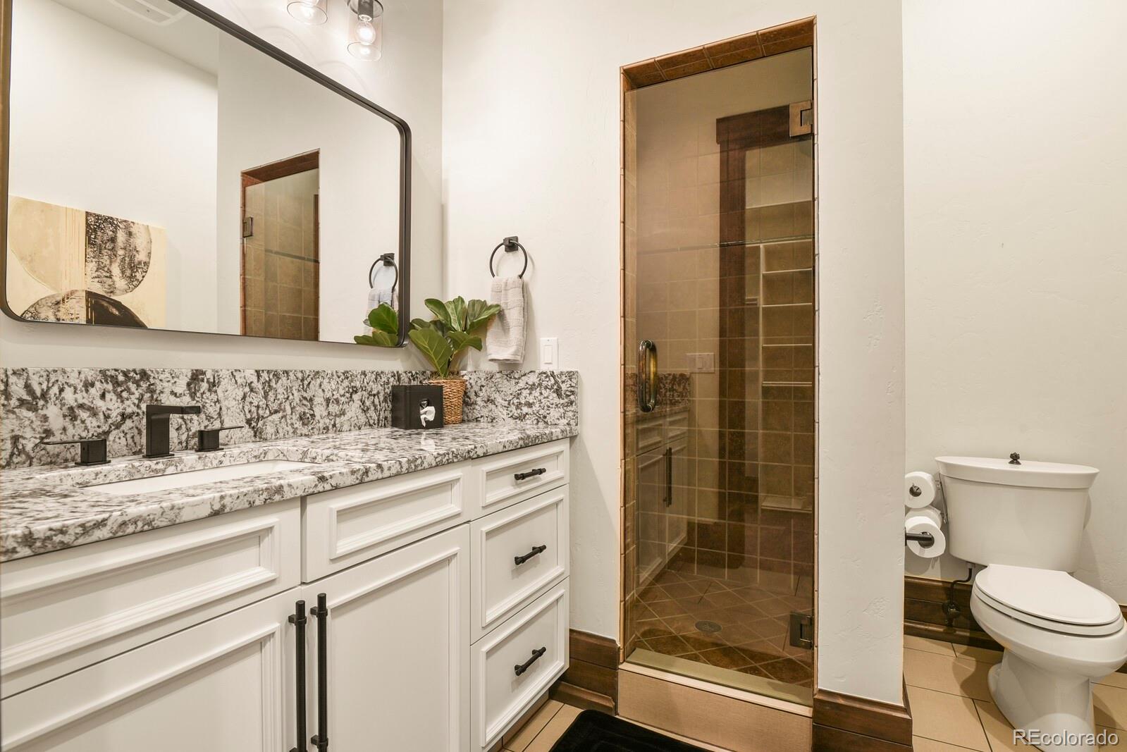 MLS Image #13 for 7390  sagebrush drive,parker, Colorado