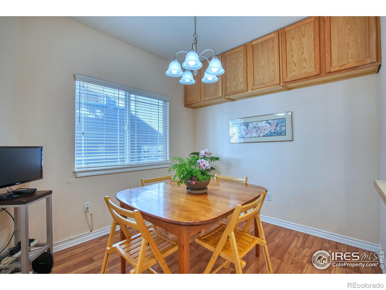 MLS Image #7 for 835  kane drive,longmont, Colorado