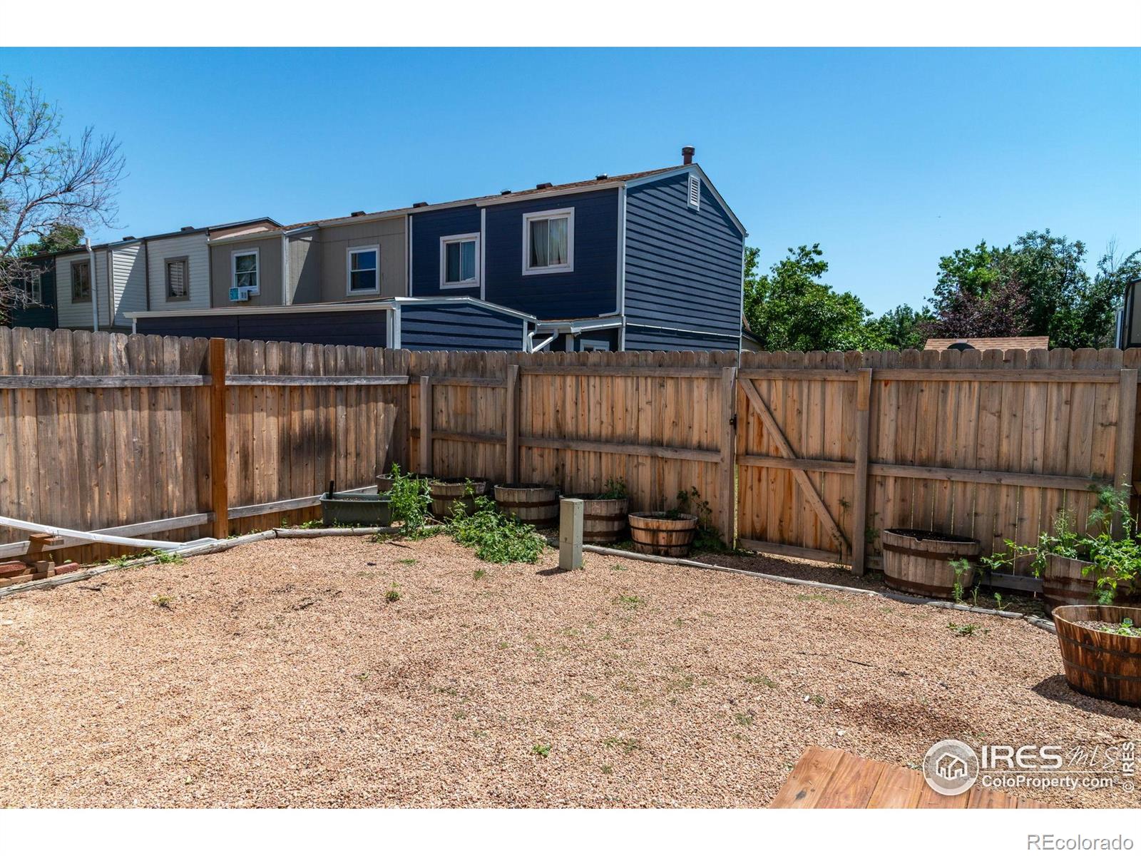 MLS Image #13 for 1616  longbow court,lafayette, Colorado