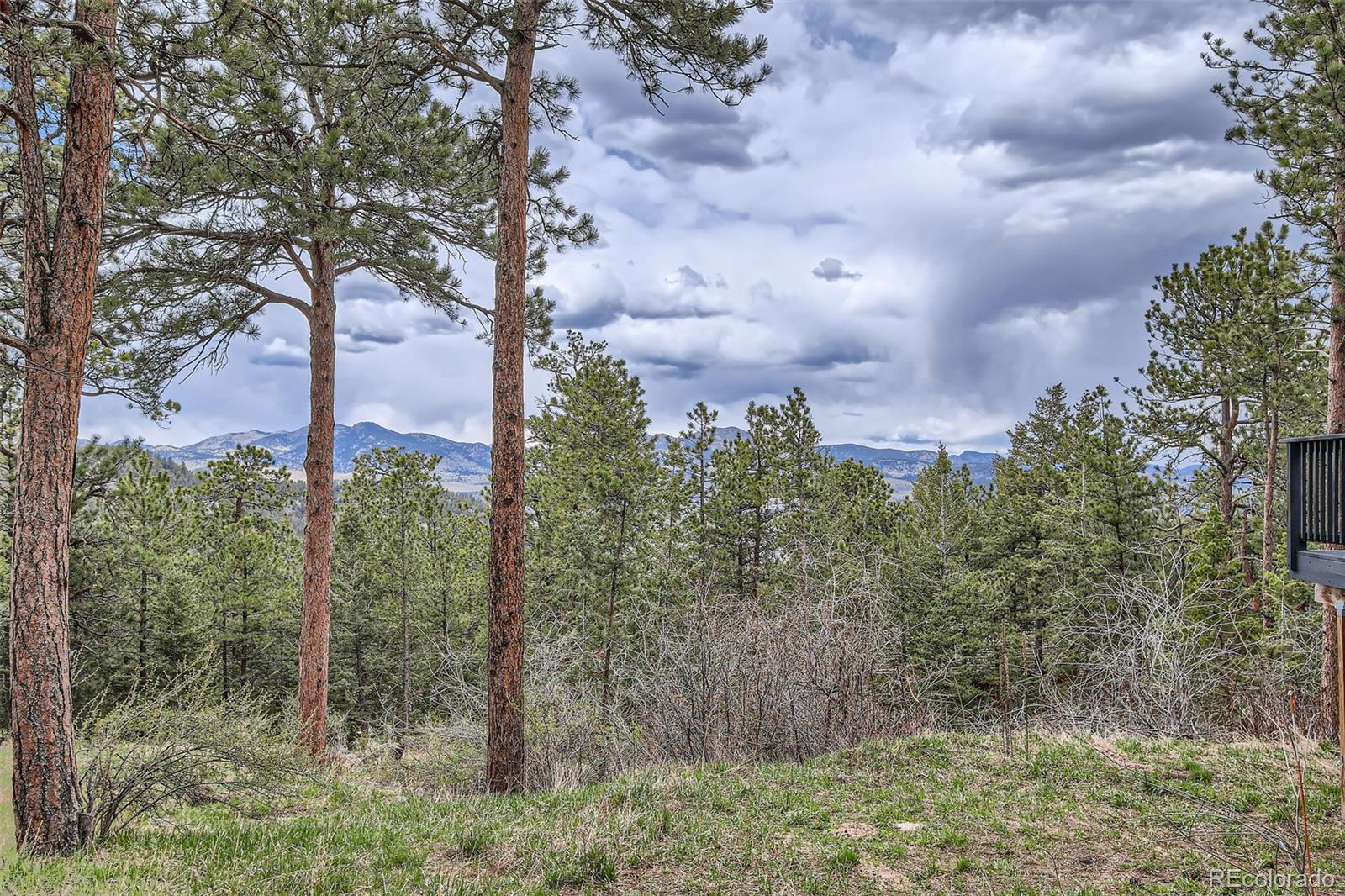 MLS Image #32 for 513  mt blue sky road,golden, Colorado