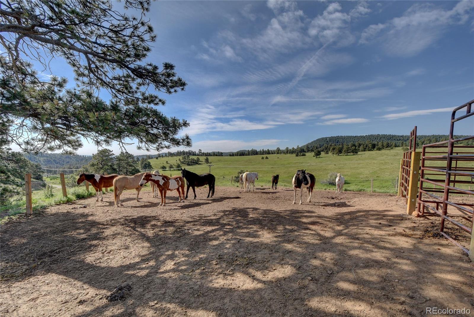 MLS Image #44 for 513  mt blue sky road,golden, Colorado