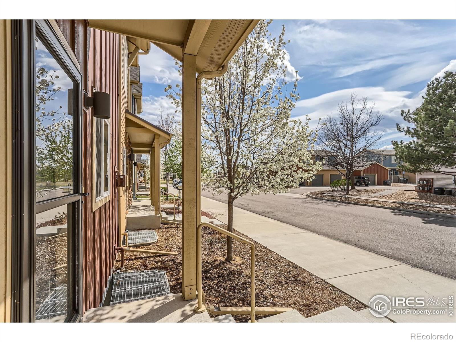 MLS Image #3 for 1240  wren court,longmont, Colorado