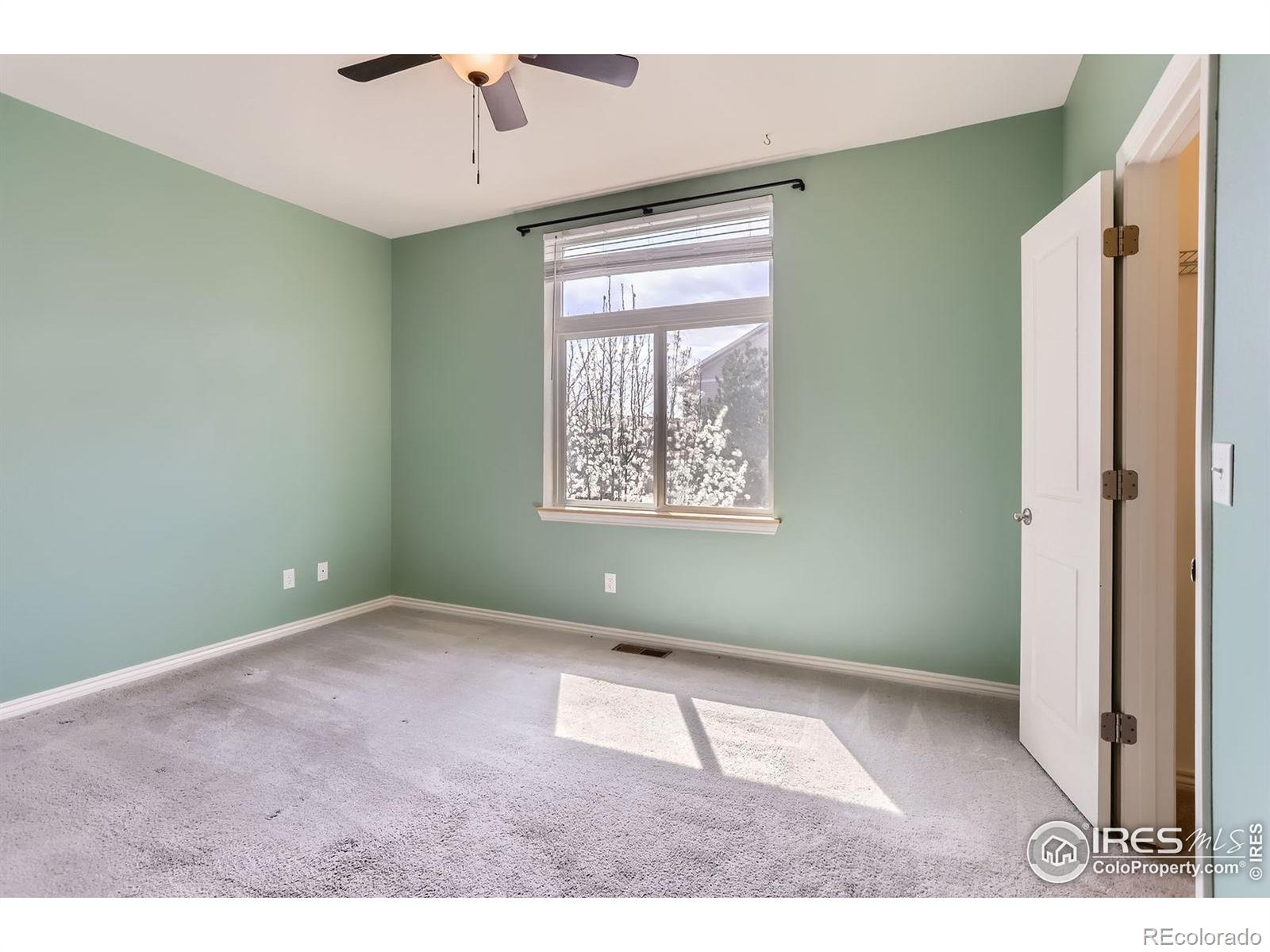 MLS Image #9 for 1240  wren court,longmont, Colorado