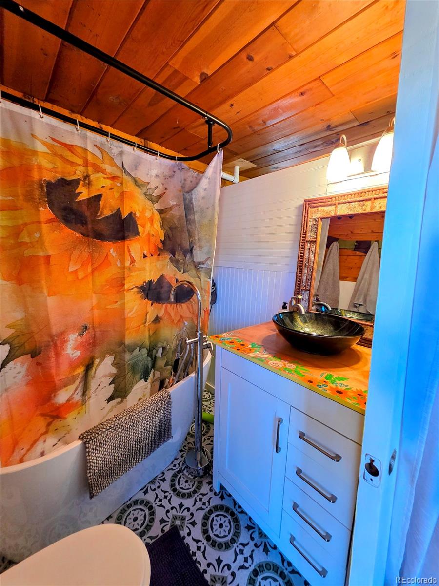 MLS Image #13 for 163  ward street,bailey, Colorado