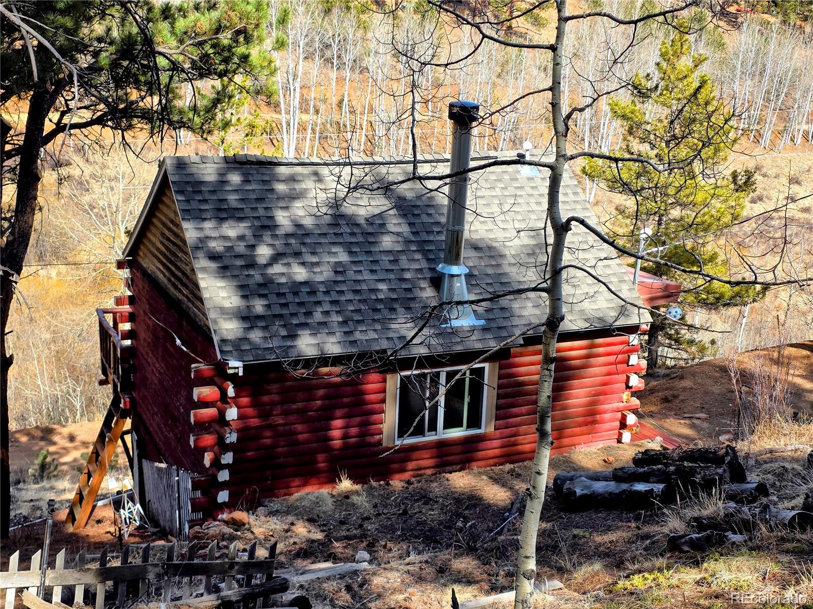 MLS Image #18 for 163  ward street,bailey, Colorado